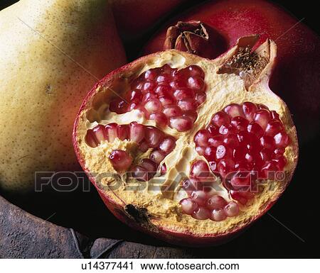 Pomegranate View Large Photo Image Stock Image - Pomegranate. Fotosearch