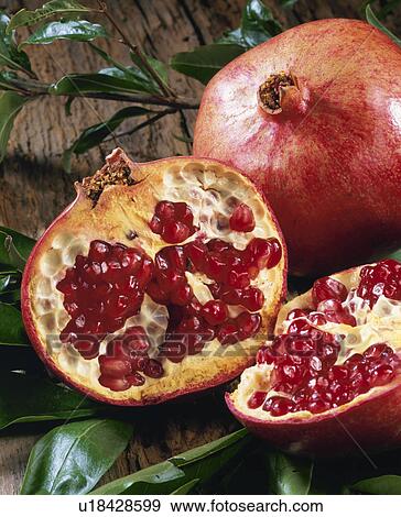 Pomegranate View Large Photo Image Stock Photo - Pomegranate. Fotosearch