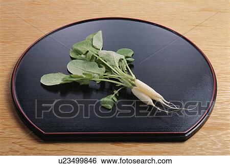 Stock Photograph - Princess Japanese Radish. Fotosearch