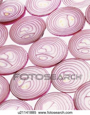 Purple Onion View Large Photo Image Stock Photography - Purple Onion. Fotosearch