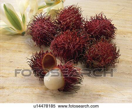 Rambutan View Large Photo Image Stock Photography - Rambutan. Fotosearch