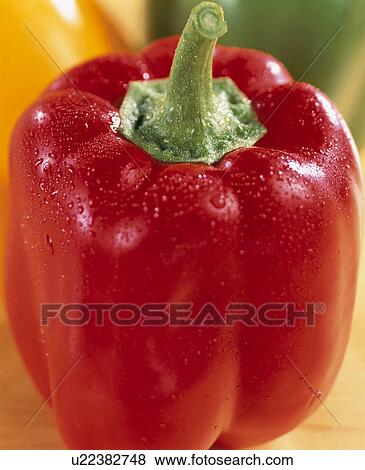 Stock Photo - Red Bell Pepper. Fotosearch