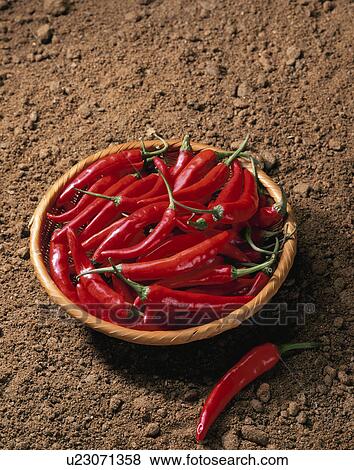 Red Pepper, South Korea View Large Photo Image Stock Photo - Red Pepper, South Korea. Fotosearch