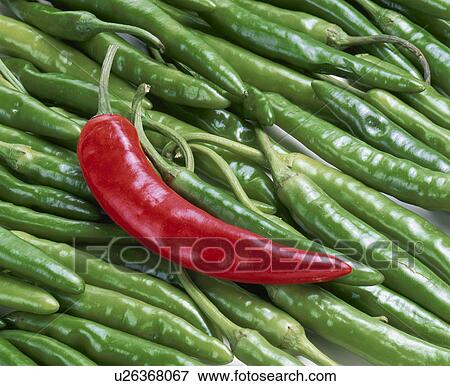 Stock Photo - Red Pepper, South Korea. Fotosearch
