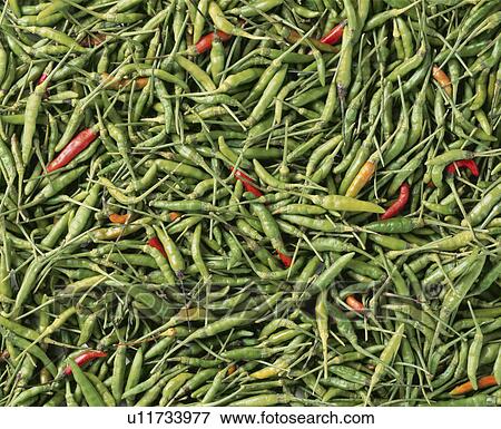 Red Pepper View Large Photo Image Stock Photo - Red Pepper. Fotosearch