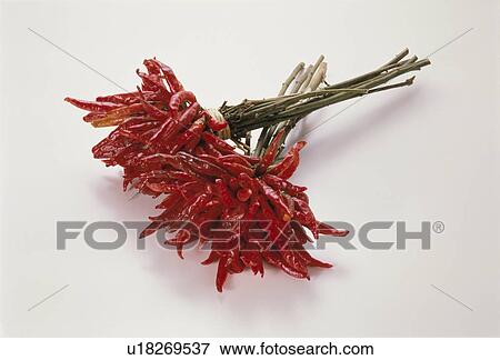 Red Pepper View Large Photo Image Stock Photo - Red Pepper. Fotosearch