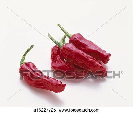 Red Pepper View Large Photo Image Stock Photography - Red Pepper. Fotosearch