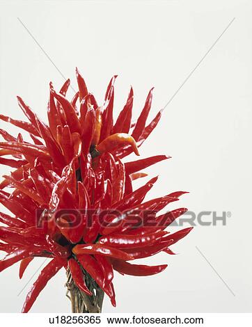 Stock Photography - Red Pepper. Fotosearch