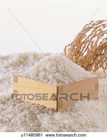 Rice View Large Photo Image Stock Image - Rice. Fotosearch