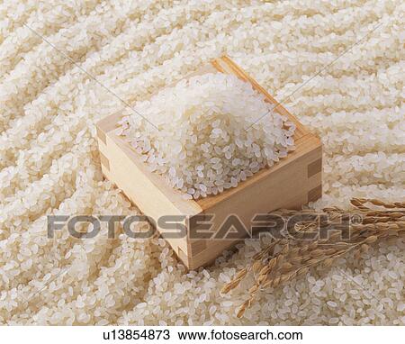 Rice View Large Photo Image Stock Image - Rice. Fotosearch