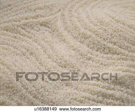 Rice View Large Photo Image Stock Photo - Rice. Fotosearch