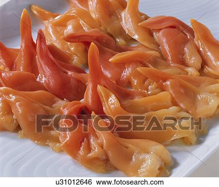 Stock Photograph - Round Clam. Fotosearch