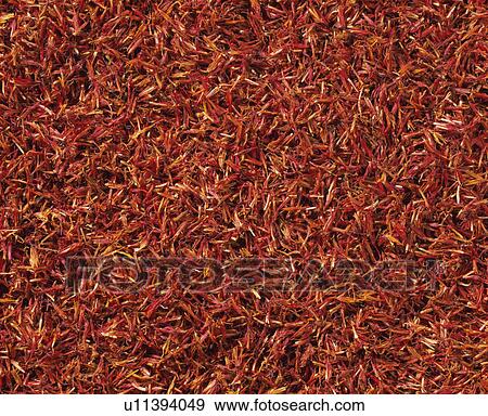Safflower View Large Photo Image Stock Photo - Safflower. Fotosearch
