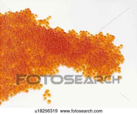 Stock Photo - Salmon Roe. Fotosearch