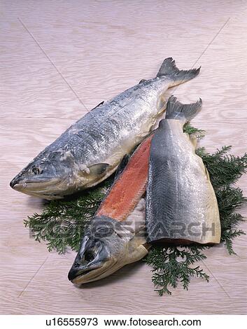 Stock Image - Salmon, Salted Salmon. Fotosearch