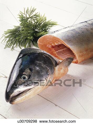 Salmon View Large Photo Image Stock Photo - Salmon. Fotosearch