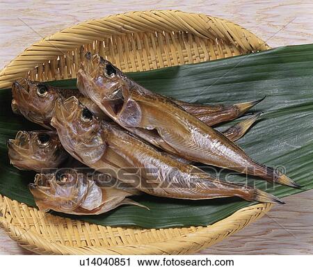 Stock Image - Sandfish, Dried Sandfish, Dried Fish. Fotosearch