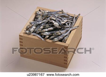 Sardine, Dried Sardine View Large Photo Image Stock Photo - Sardine, Dried Sardine. Fotosearch