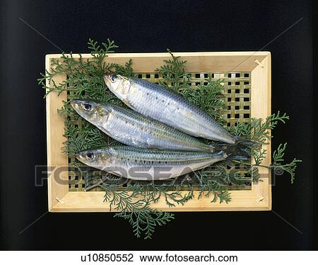 Stock Image - Sardine. Fotosearch