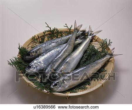 Stock Photograph - Sardine. Fotosearch