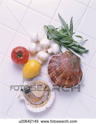 Scallop, Fruits View Large Photo Image Stock Photo - Scallop, Fruits. Fotosearch