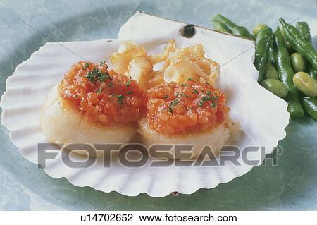Scallop Provence Style View Large Photo Image Stock Image - Scallop Provence Style. Fotosearch