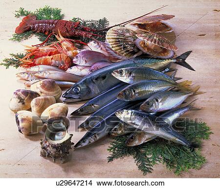 Sea Food Set View Large Photo Image Picture - Sea Food Set. Fotosearch