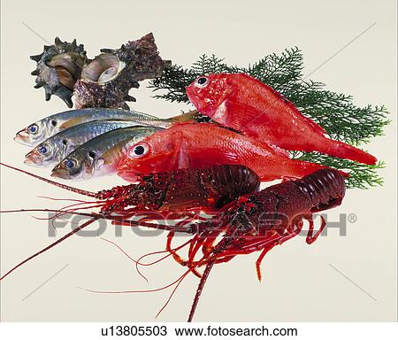 Sea Food Set View Large Photo Image Stock Image - Sea Food Set. Fotosearch