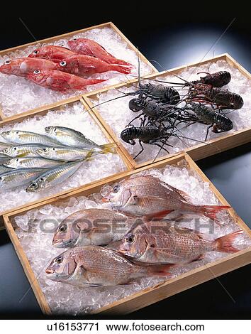 Sea Food Set View Large Photo Image Stock Image - Sea Food Set. Fotosearch