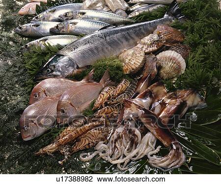 Stock Image - Sea Food Set. Fotosearch