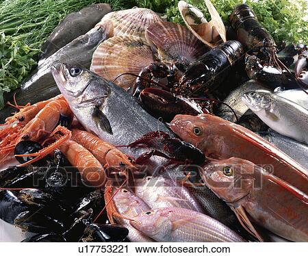 Stock Image - Sea Food Set. Fotosearch