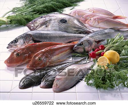 Stock Image - Sea Food Set. Fotosearch