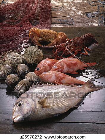 Sea Food Set View Large Photo Image Stock Image - Sea Food Set. Fotosearch