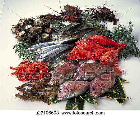 Stock Image - Sea Food Set. Fotosearch
