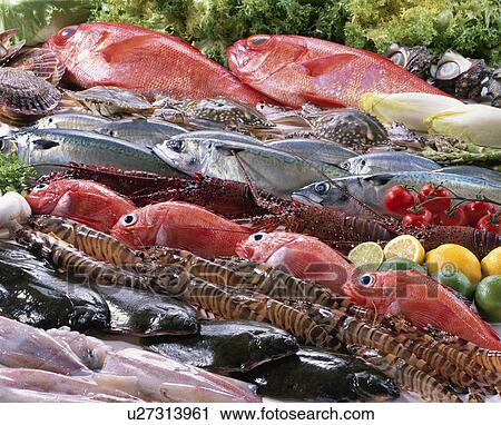 Stock Image - Sea Food Set. Fotosearch