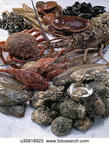 Sea Food Set View Large Photo Image Stock Image - Sea Food Set. Fotosearch