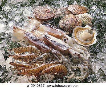Stock Photo - Sea Food Set. Fotosearch