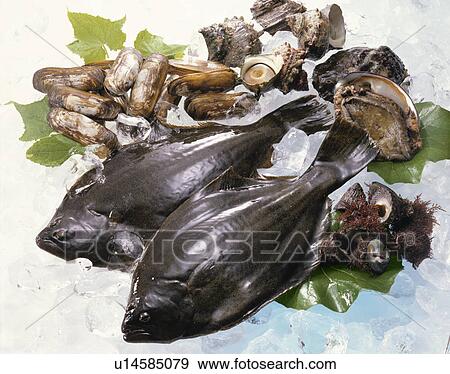 Stock Photo - Sea Food Set. Fotosearch