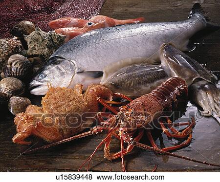 Sea Food Set View Large Photo Image Stock Photo - Sea Food Set. Fotosearch