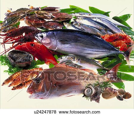 Stock Photo - Sea Food Set. Fotosearch