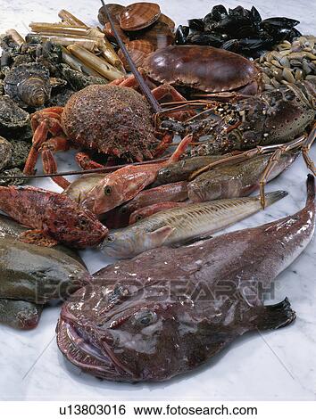 Sea Food Set View Large Photo Image Stock Photograph - Sea Food Set. Fotosearch