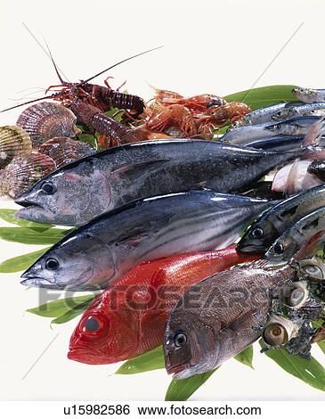 Sea Food Set View Large Photo Image Stock Photograph - Sea Food Set. Fotosearch