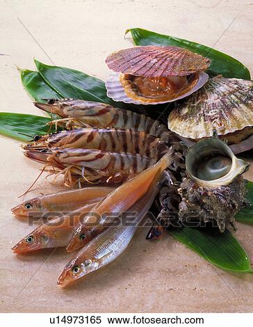 Sea Food Set View Large Photo Image Stock Photography - Sea Food Set. Fotosearch