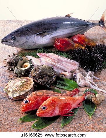 Stock Photography - Sea Food Set. Fotosearch
