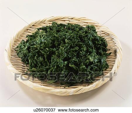 Sea Weed View Large Photo Image Stock Photo - Sea Weed. Fotosearch