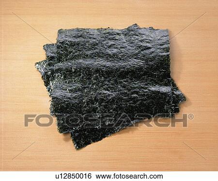 Stock Photograph - Sea Weed. Fotosearch