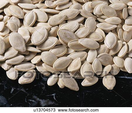 Seed Of Japanese Pumpkin View Large Photo Image Stock Image - Seed Of Japanese Pumpkin. Fotosearch