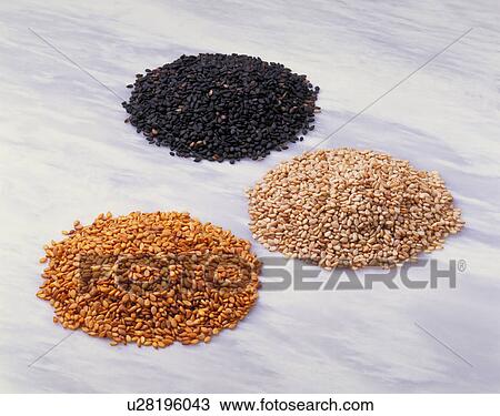 Stock Image - Sesame. Fotosearch