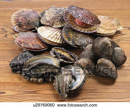 Stock Image - Shellfish Set. Fotosearch