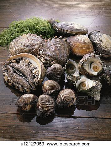 Shellfish Set View Large Photo Image Stock Photo - Shellfish Set. Fotosearch